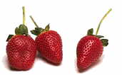 Strawberries keep longer if irradiated
